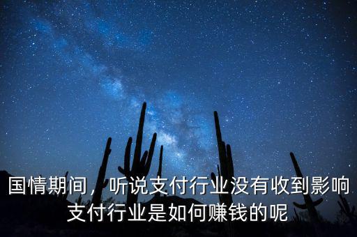 國情期間，聽說支付行業(yè)沒有收到影響支付行業(yè)是如何賺錢的呢