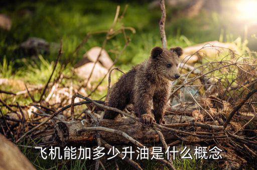 飛機(jī)能加多少升油是什么概念