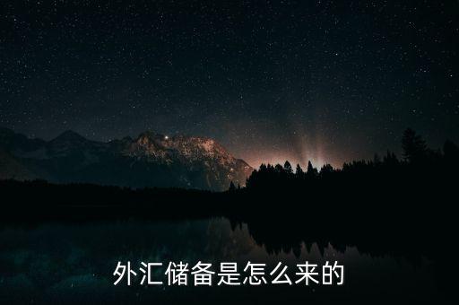 怎么查外匯儲(chǔ)備,外匯儲(chǔ)備是怎么來(lái)的