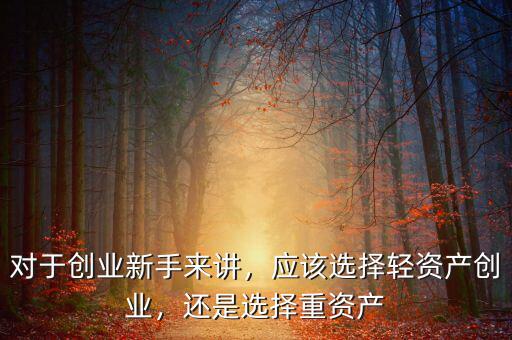 對(duì)于創(chuàng)業(yè)新手來講，應(yīng)該選擇輕資產(chǎn)創(chuàng)業(yè)，還是選擇重資產(chǎn)