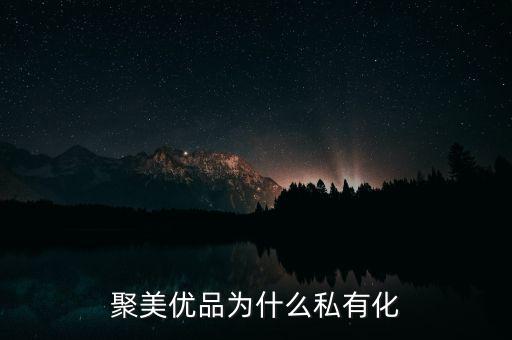 聚美優(yōu)品為什么私有化