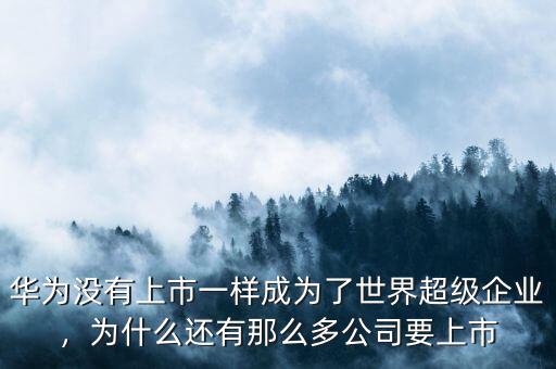 華為沒(méi)有上市一樣成為了世界超級(jí)企業(yè)，為什么還有那么多公司要上市