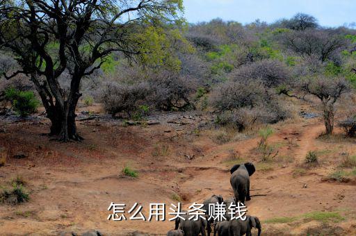 怎么用頭條賺錢