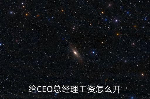 Ceo怎么開(kāi)工資,創(chuàng)業(yè)公司的CEO怎么拿薪水