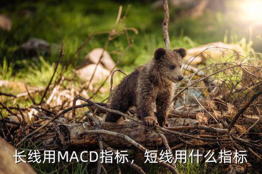 MACD配會什么指標,長線用MACD指標