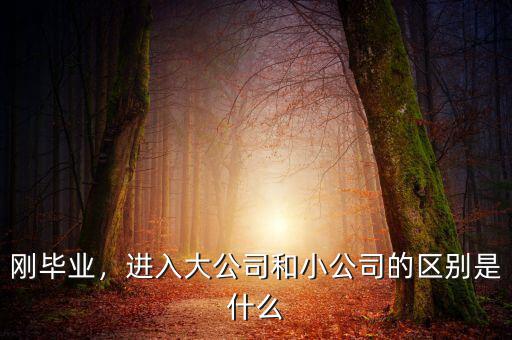 剛畢業(yè)，進入大公司和小公司的區(qū)別是什么