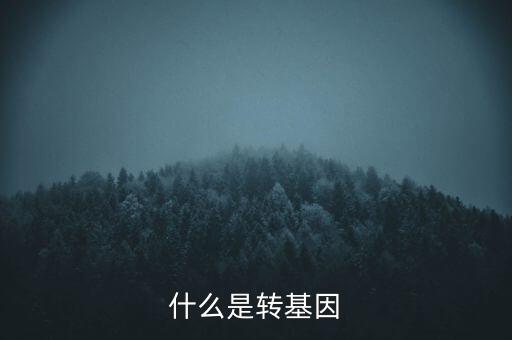 孟山都四大轉(zhuǎn)基因都是什么,支持轉(zhuǎn)基因的都是什么人