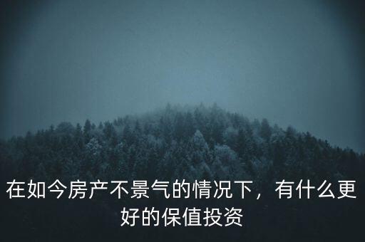 在如今房產(chǎn)不景氣的情況下，有什么更好的保值投資