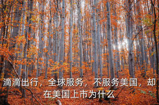 滴滴出行，全球服務(wù)，不服務(wù)美國，卻在美國上市為什么