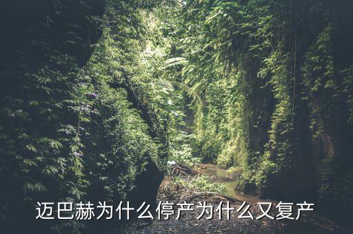 邁巴赫為什么停產(chǎn)為什么又復產(chǎn)