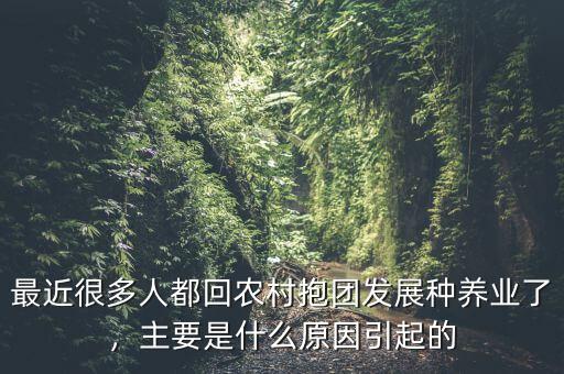 最近很多人都回農(nóng)村抱團(tuán)發(fā)展種養(yǎng)業(yè)了，主要是什么原因引起的