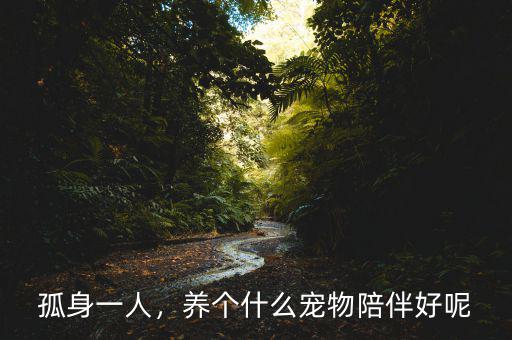 孤身一人，養(yǎng)個(gè)什么寵物陪伴好呢