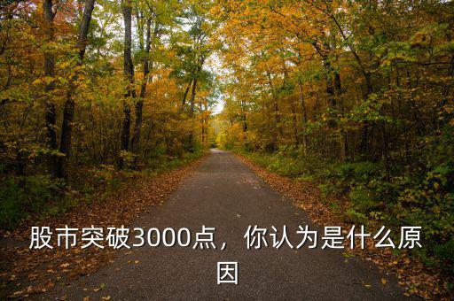 股市突破3000點，你認(rèn)為是什么原因