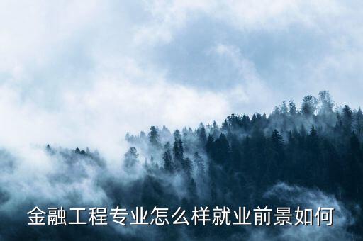 金融工程專業(yè)怎么樣就業(yè)前景如何