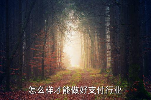 怎么樣才能做好支付行業(yè)