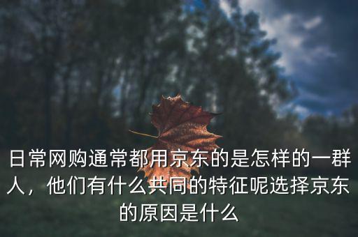 日常網(wǎng)購?fù)ǔ６加镁〇|的是怎樣的一群人，他們有什么共同的特征呢選擇京東的原因是什么