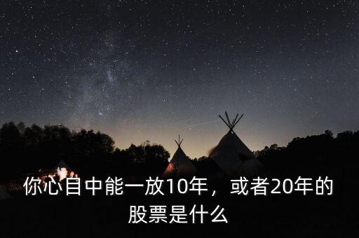 你心目中能一放10年，或者20年的股票是什么