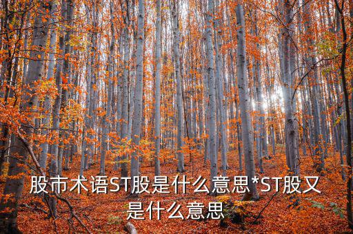 股市術(shù)語(yǔ)ST股是什么意思*ST股又是什么意思