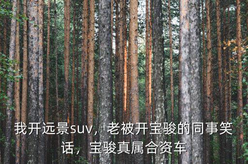 我開遠(yuǎn)景suv，老被開寶駿的同事笑話，寶駿真屬合資車