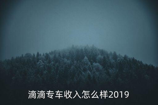 滴滴專車收入怎么樣2019