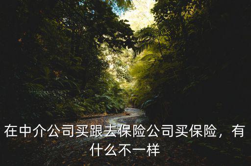 在中介公司買跟去保險(xiǎn)公司買保險(xiǎn)，有什么不一樣