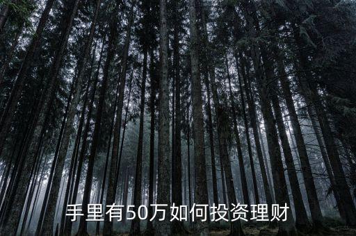 手里有50萬(wàn)如何投資理財(cái)