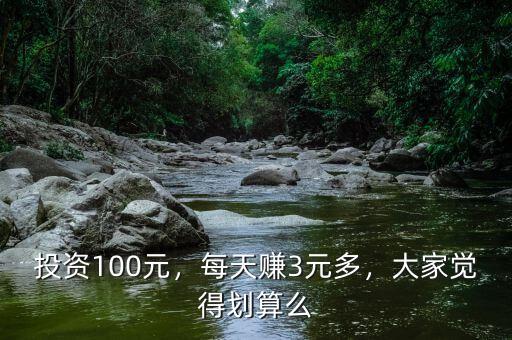 投資100元，每天賺3元多，大家覺得劃算么