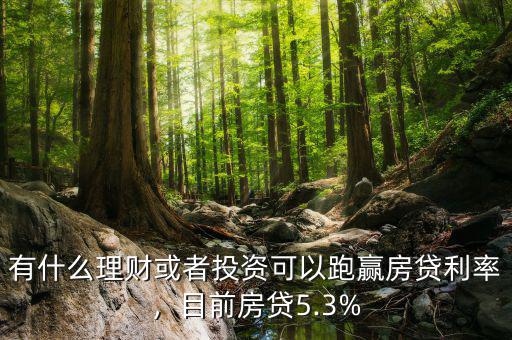 有什么理財(cái)或者投資可以跑贏房貸利率，目前房貸5.3%