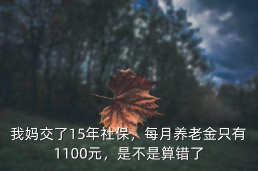 我媽交了15年社保，每月養(yǎng)老金只有1100元，是不是算錯(cuò)了