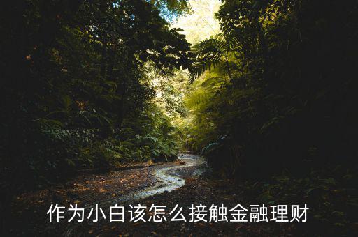 作為小白該怎么接觸金融理財(cái)