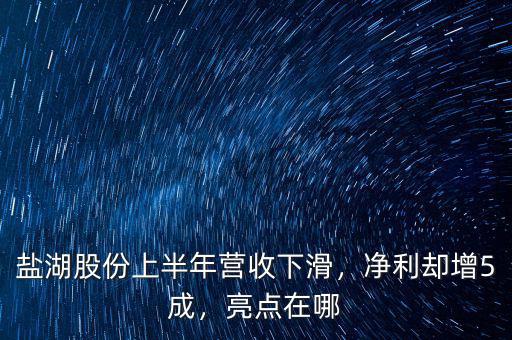 鹽湖股份上半年營收下滑，凈利卻增5成，亮點在哪