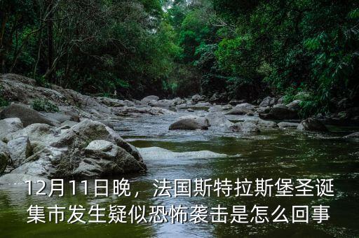 12月11日晚，法國斯特拉斯堡圣誕集市發(fā)生疑似恐怖襲擊是怎么回事