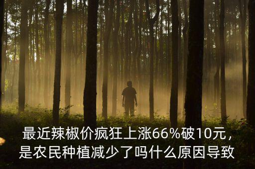 最近辣椒價瘋狂上漲66%破10元，是農民種植減少了嗎什么原因導致