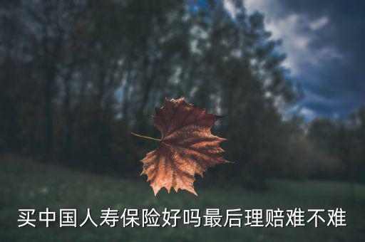 買(mǎi)中國(guó)人壽保險(xiǎn)好嗎最后理賠難不難