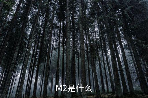 M2是什么