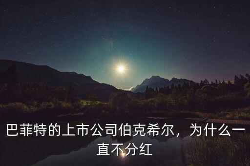 巴菲特的上市公司伯克希爾，為什么一直不分紅