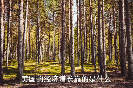 美國的經(jīng)濟(jì)增長(zhǎng)靠的是什么