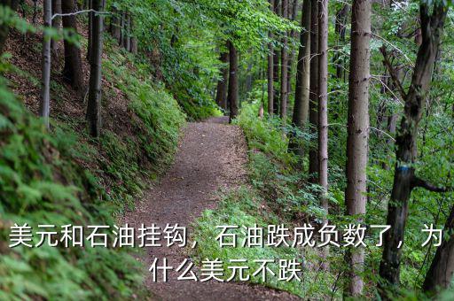 美元和石油掛鉤，石油跌成負數(shù)了，為什么美元不跌