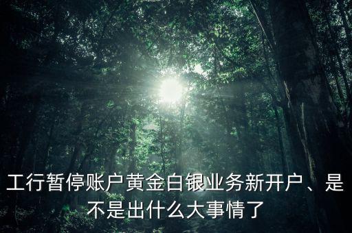 工行暫停賬戶黃金白銀業(yè)務(wù)新開(kāi)戶、是不是出什么大事情了