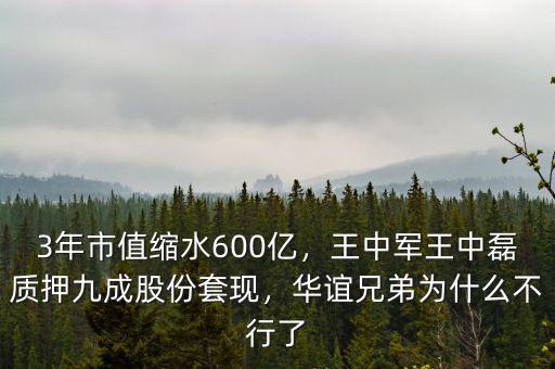 3年市值縮水600億，王中軍王中磊質(zhì)押九成股份套現(xiàn)，華誼兄弟為什么不行了