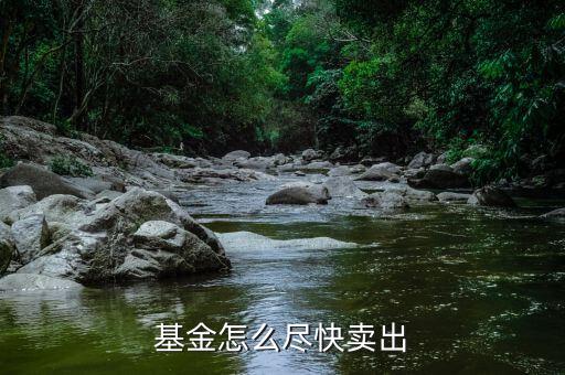 基金怎么盡快賣(mài)出