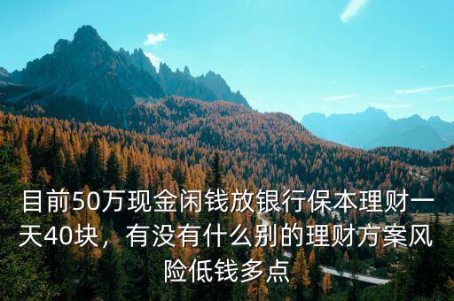 目前50萬現(xiàn)金閑錢放銀行保本理財一天40塊，有沒有什么別的理財方案風險低錢多點