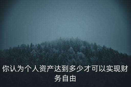 你認(rèn)為個人資產(chǎn)達(dá)到多少才可以實(shí)現(xiàn)財務(wù)自由