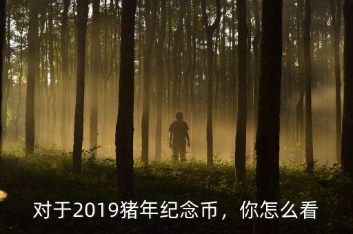 對(duì)于2019豬年紀(jì)念幣，你怎么看