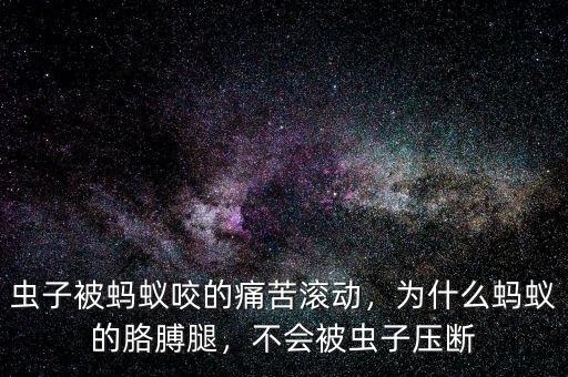 蟲子被螞蟻咬的痛苦滾動，為什么螞蟻的胳膊腿，不會被蟲子壓斷