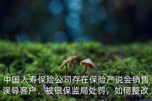 中國人壽保險公司存在保險產(chǎn)說會銷售誤導(dǎo)客戶，被銀保監(jiān)局處罰，如何整改