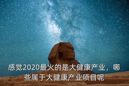 感覺2020最火的是大健康產(chǎn)業(yè)，哪些屬于大健康產(chǎn)業(yè)項目呢