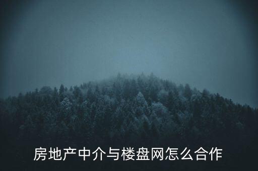 房地產(chǎn)中介與樓盤網(wǎng)怎么合作