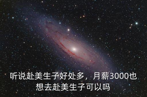 聽說赴美生子好處多，月薪3000也想去赴美生子可以嗎