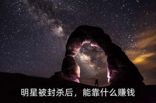 歌星靠什么賺錢,歌星開演唱會靠什么賺錢